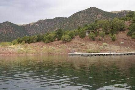 View All