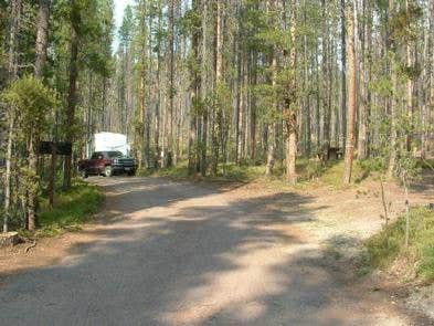 Camper submitted image from Lodgepole Campground - 1