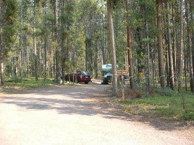 Camper submitted image from Lodgepole Campground - 3