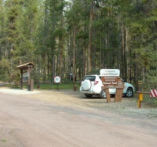 Camper submitted image from Lodgepole Campground - 2