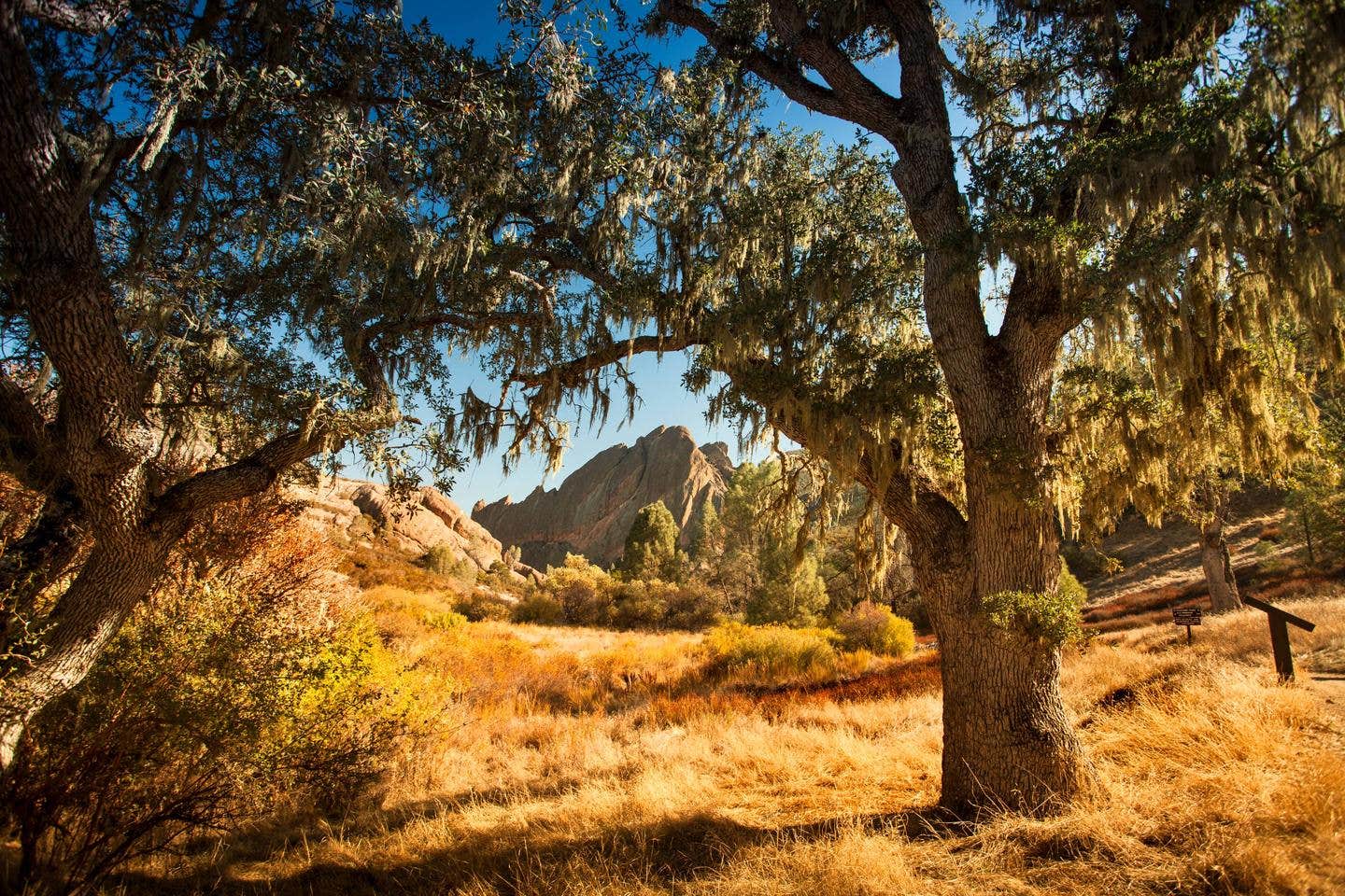 Camper-submitted photo at Pinnacles Campground - Brooks Lake near Shoshone National Forest