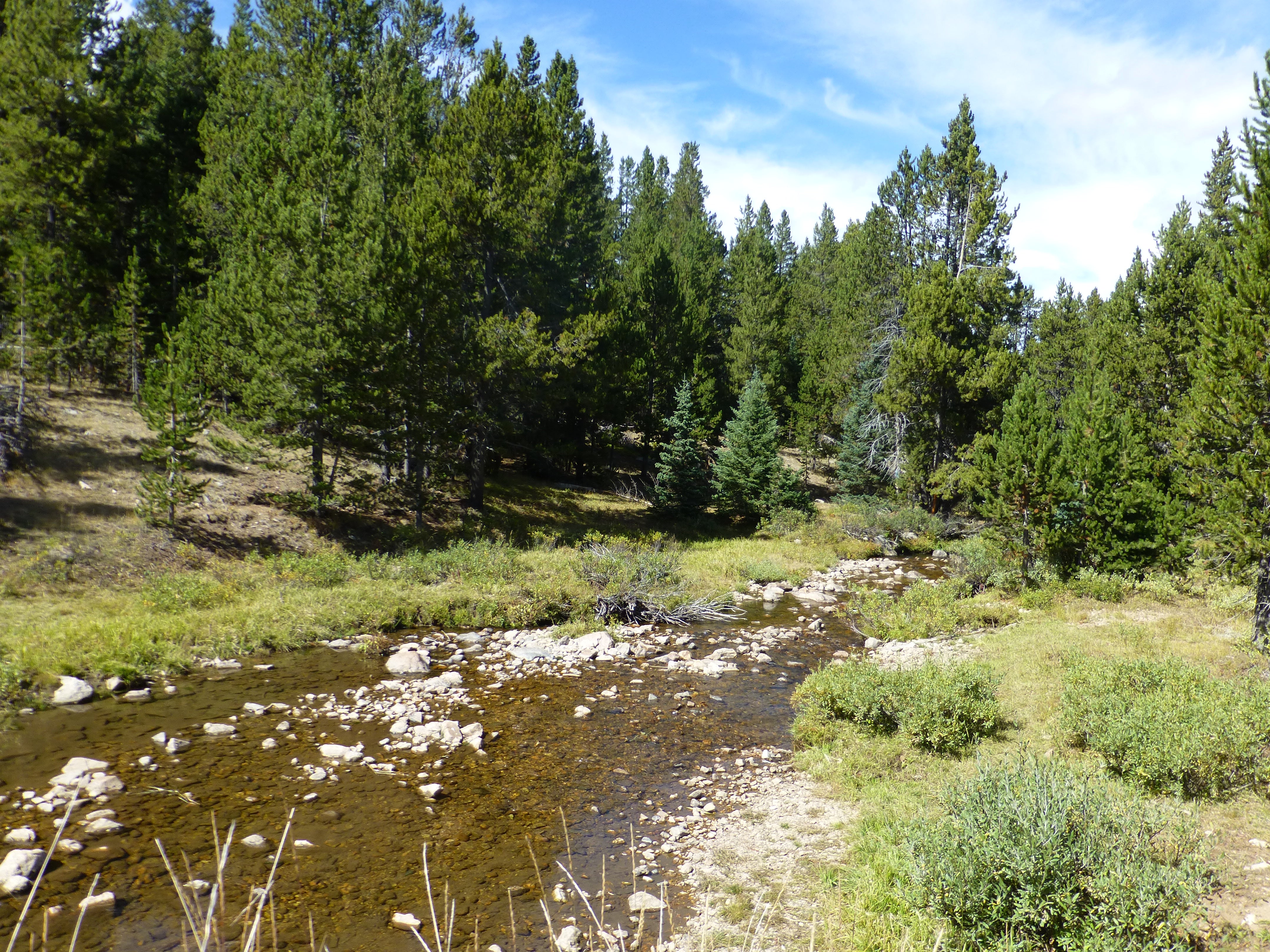 Porcupine Creek. Water levels are extremely low in September, but I did see a few fish.