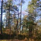 Review photo of Wall Doxey State Park Campground by Noah Johnathon M., September 2, 2016