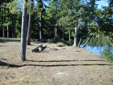 Camper submitted image from Au Sable River Primitive Camping - 1