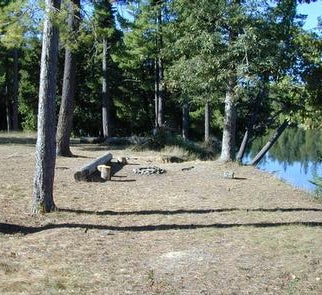Camper-submitted photo from Au Sable River Primitive Camping