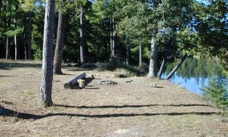 Camping near Wagner Lake NF Campground: Au Sable River Primitive Camping, Mio, Michigan