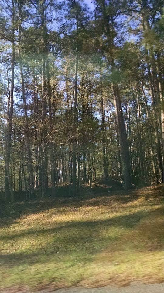 Camper-submitted photo at Wall Doxey State Park Campground near Olive Branch, MS