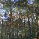 Review photo of Wall Doxey State Park Campground by Noah Johnathon M., September 2, 2016