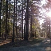 Review photo of Wall Doxey State Park - Holly Springs by Noah Johnathon M., September 2, 2016