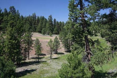 Camper submitted image from Cold Springs Cabin - Ochoco Nf (OR) - 3