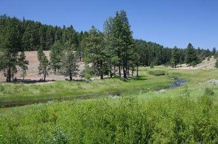 Camper submitted image from Cold Springs Cabin - Ochoco Nf (OR) - 1