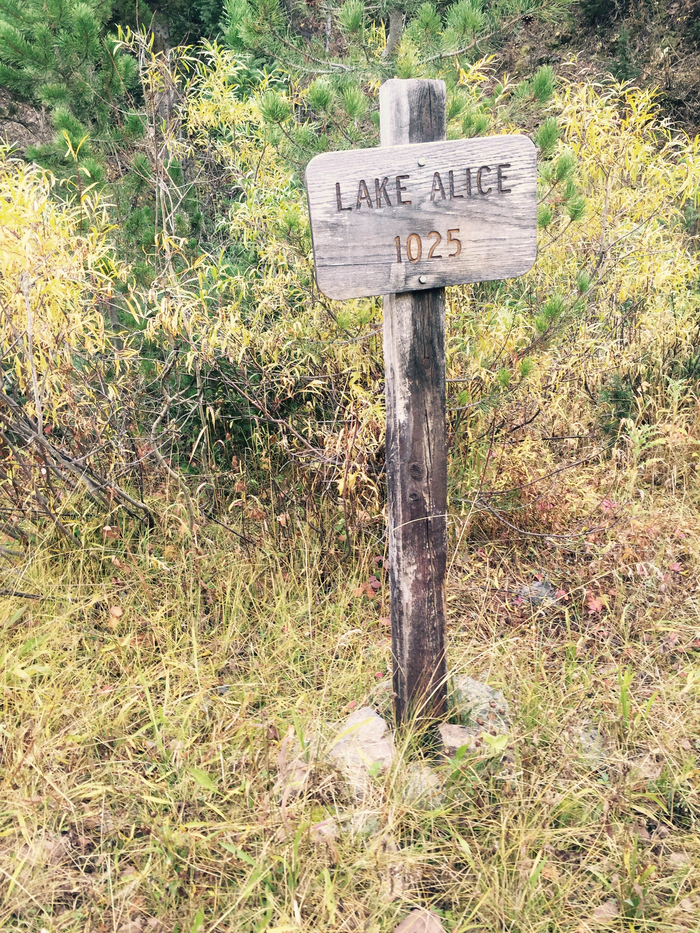 Camper-submitted photo at Hobble Creek near Smoot, WY