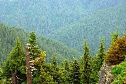 Camper-submitted photo at Fairview Peak Lookout Tower near Westfir, OR
