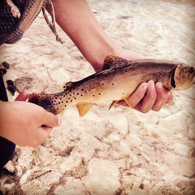 Camper-submitted photo at Hobble Creek near Smoot, WY