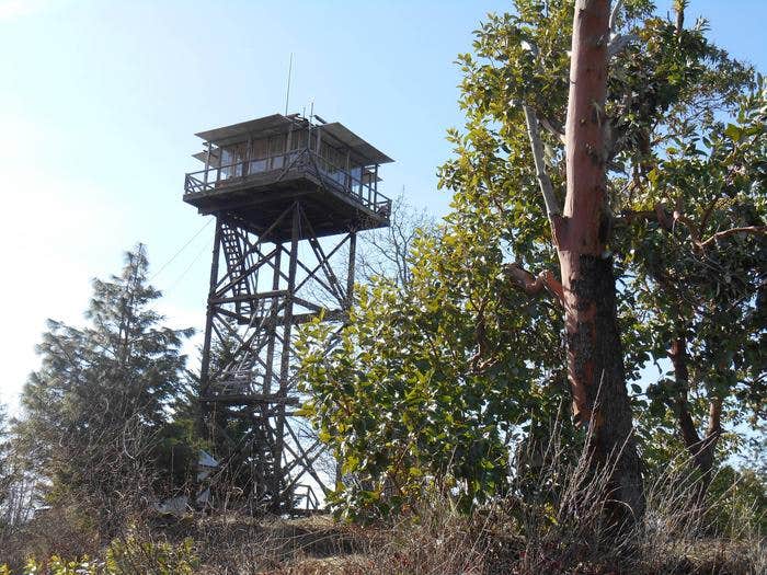 Camper submitted image from Pickett Butte Lookout - 2