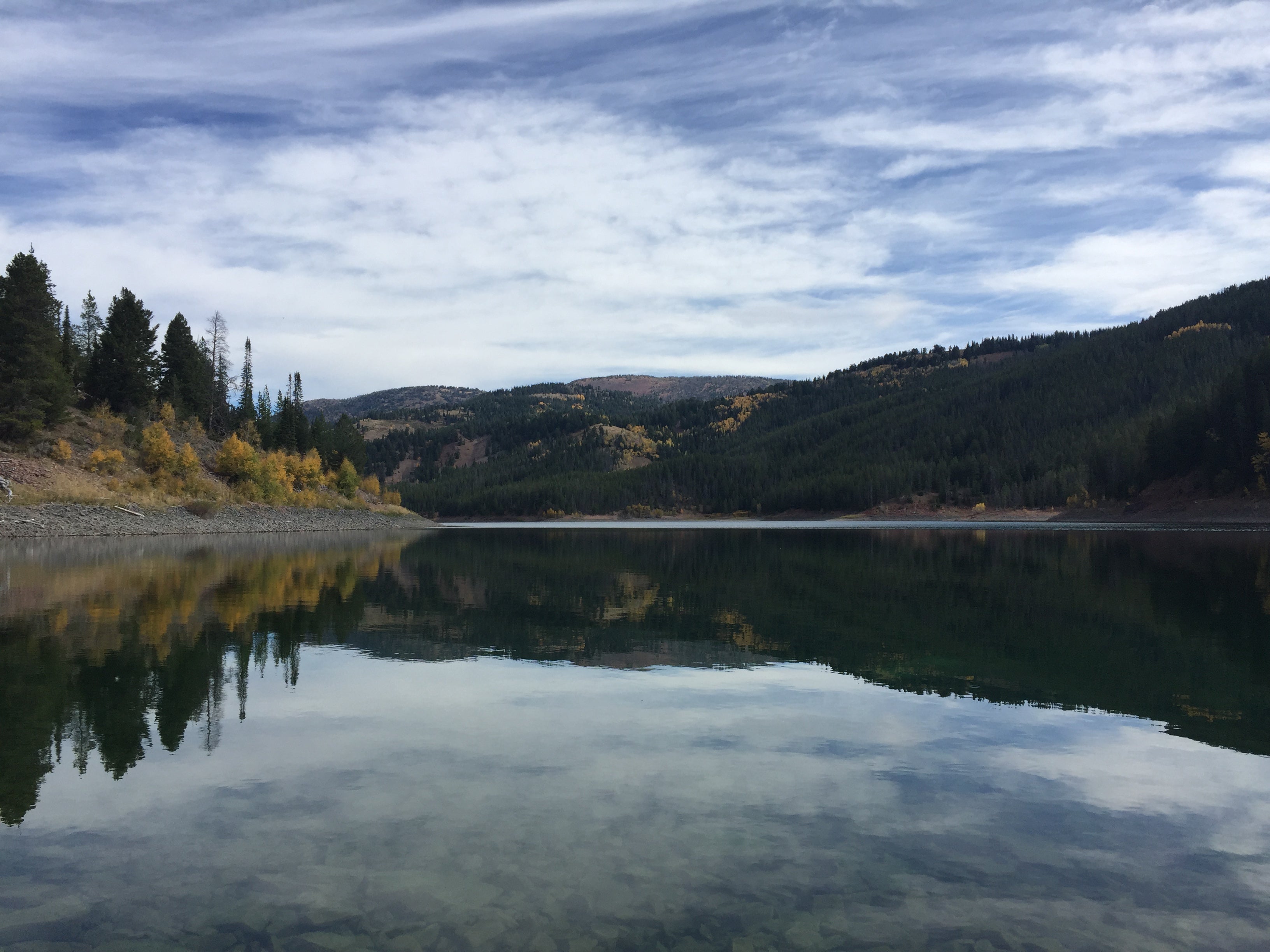 Camper submitted image from Hobble Creek - 3