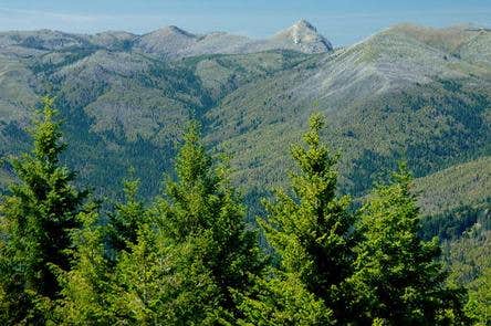 Camper submitted image from Quail Prairie Lookout - 5