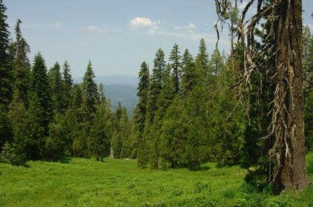 Camper submitted image from Butler Butte Cabin - 1