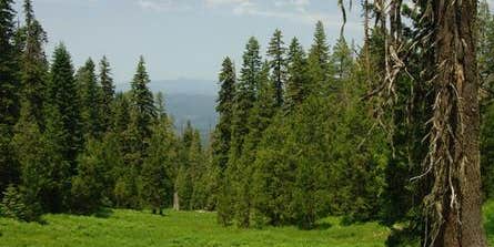 Camper submitted image from Butler Butte Cabin