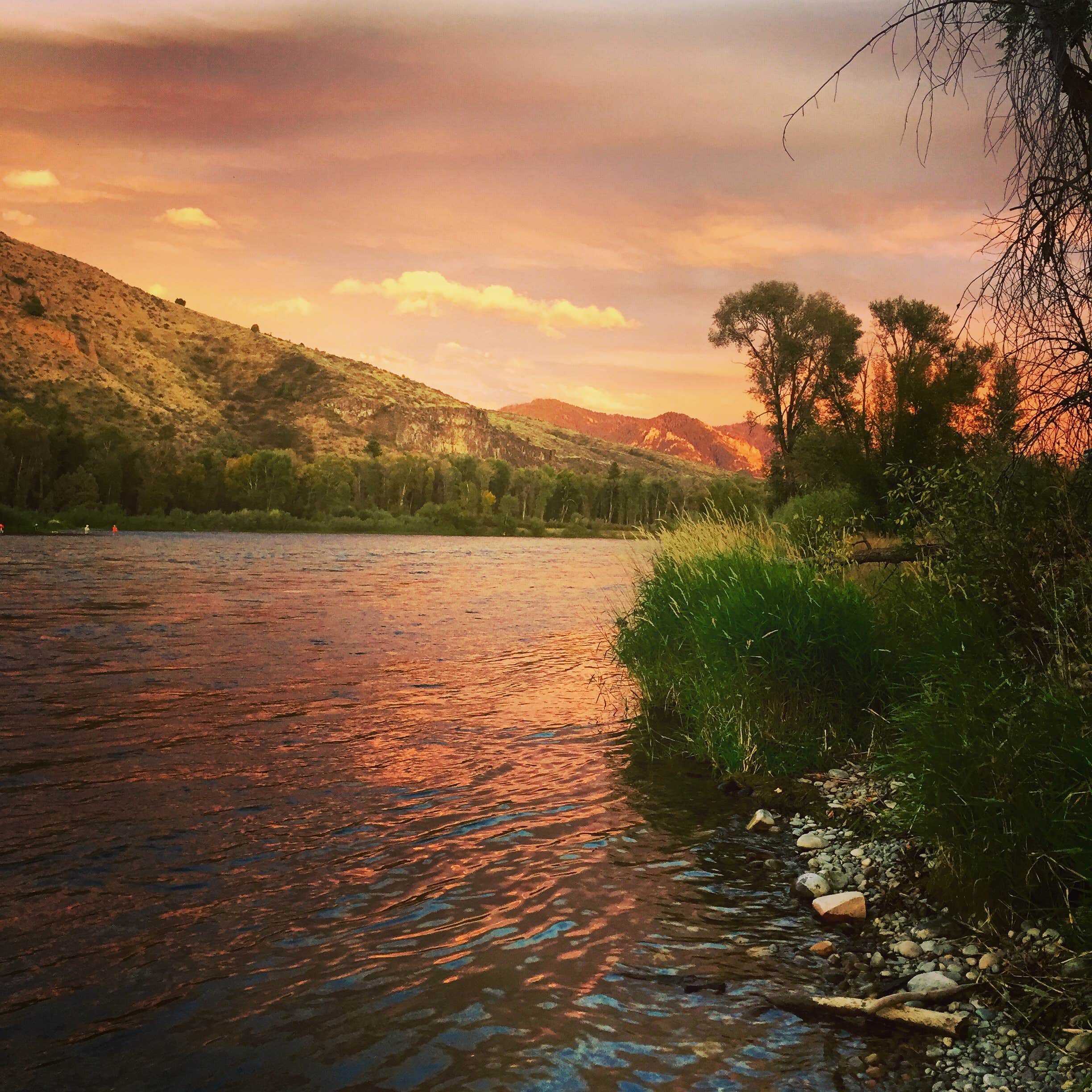 Camper submitted image from South Fork - 4