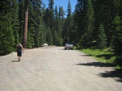 Camper submitted image from Bear River Group Campground - 3