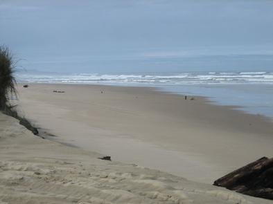 Camper submitted image from Siuslaw National Forest Horsfall Sand Camping Access - 4