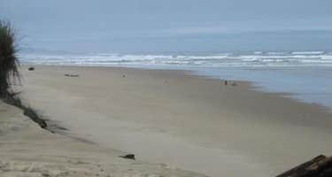 Horsfall Sand Camping