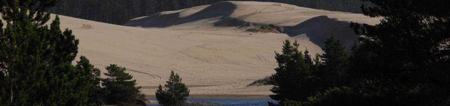 Spinreel dunes 2025