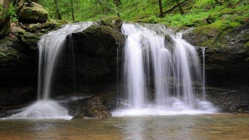 Camper submitted image from Frozen Head State Park Campground - 3