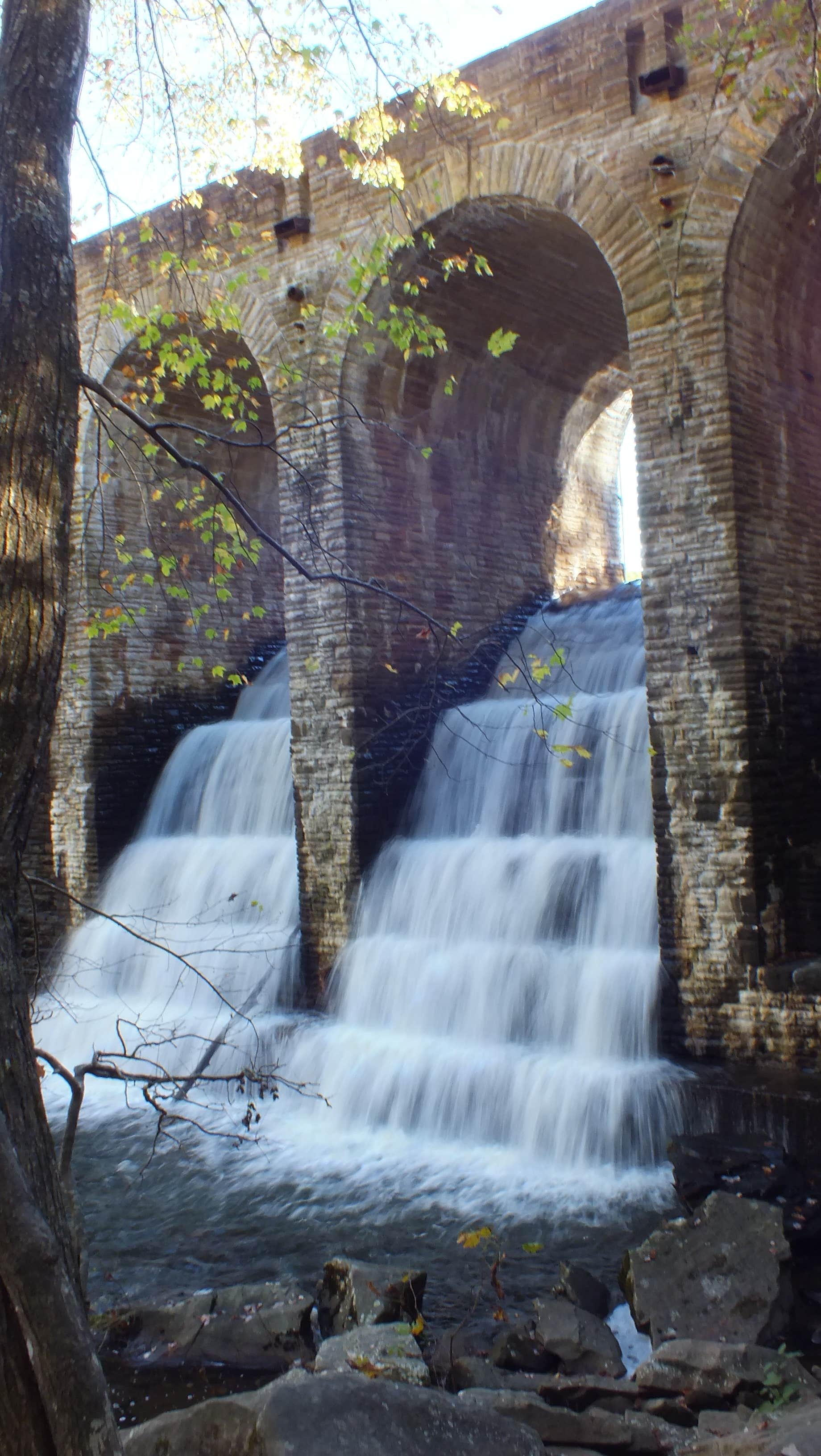 Camper-submitted photo at Cumberland Mountain State Park Campground near Jamestown, TN