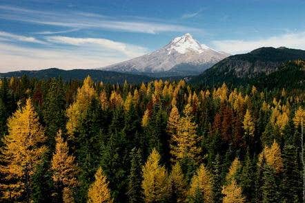 Nature