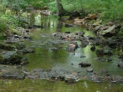 Camper submitted image from Stony Fork Cabin - 5