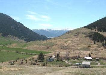 View All