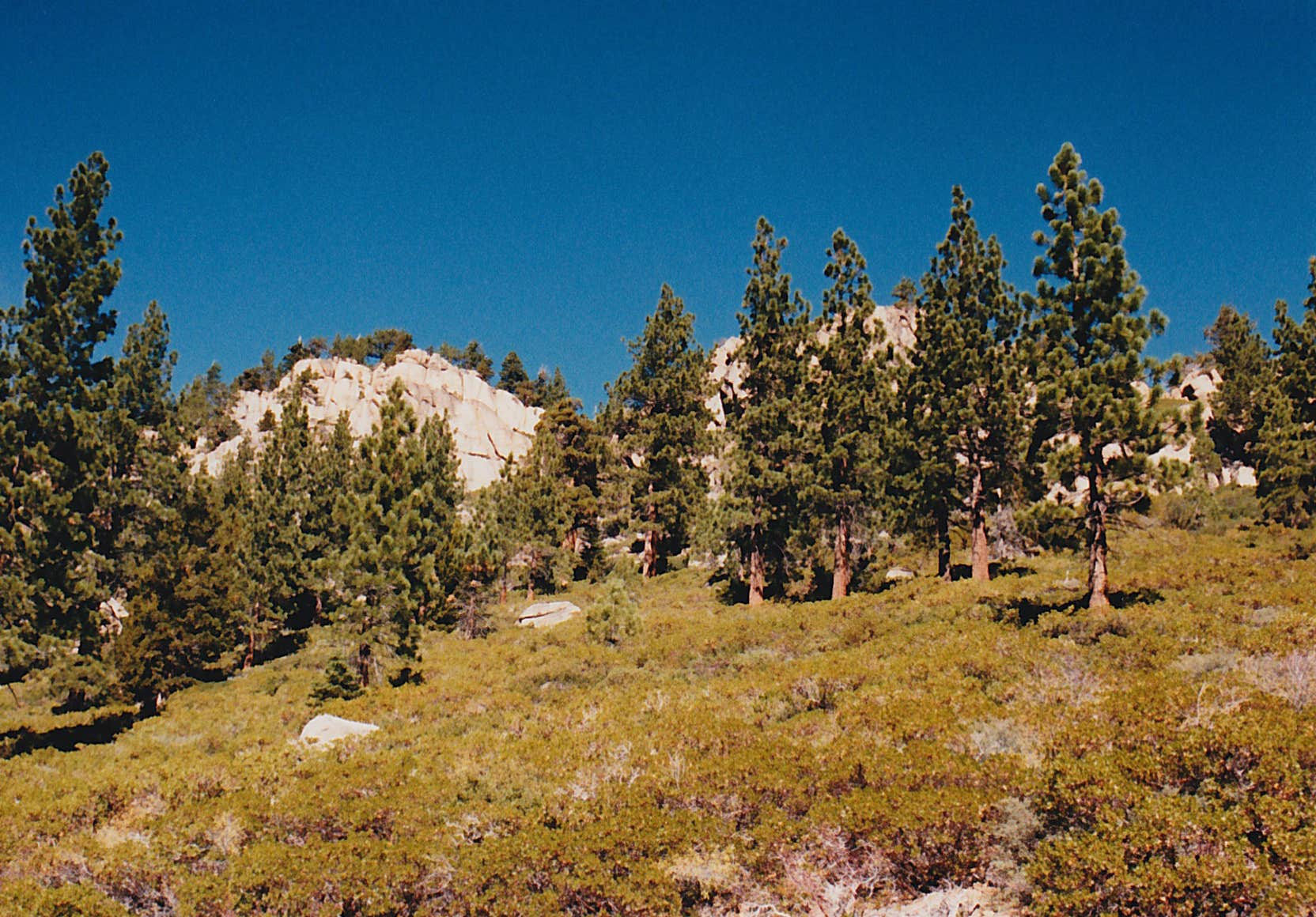 Nature