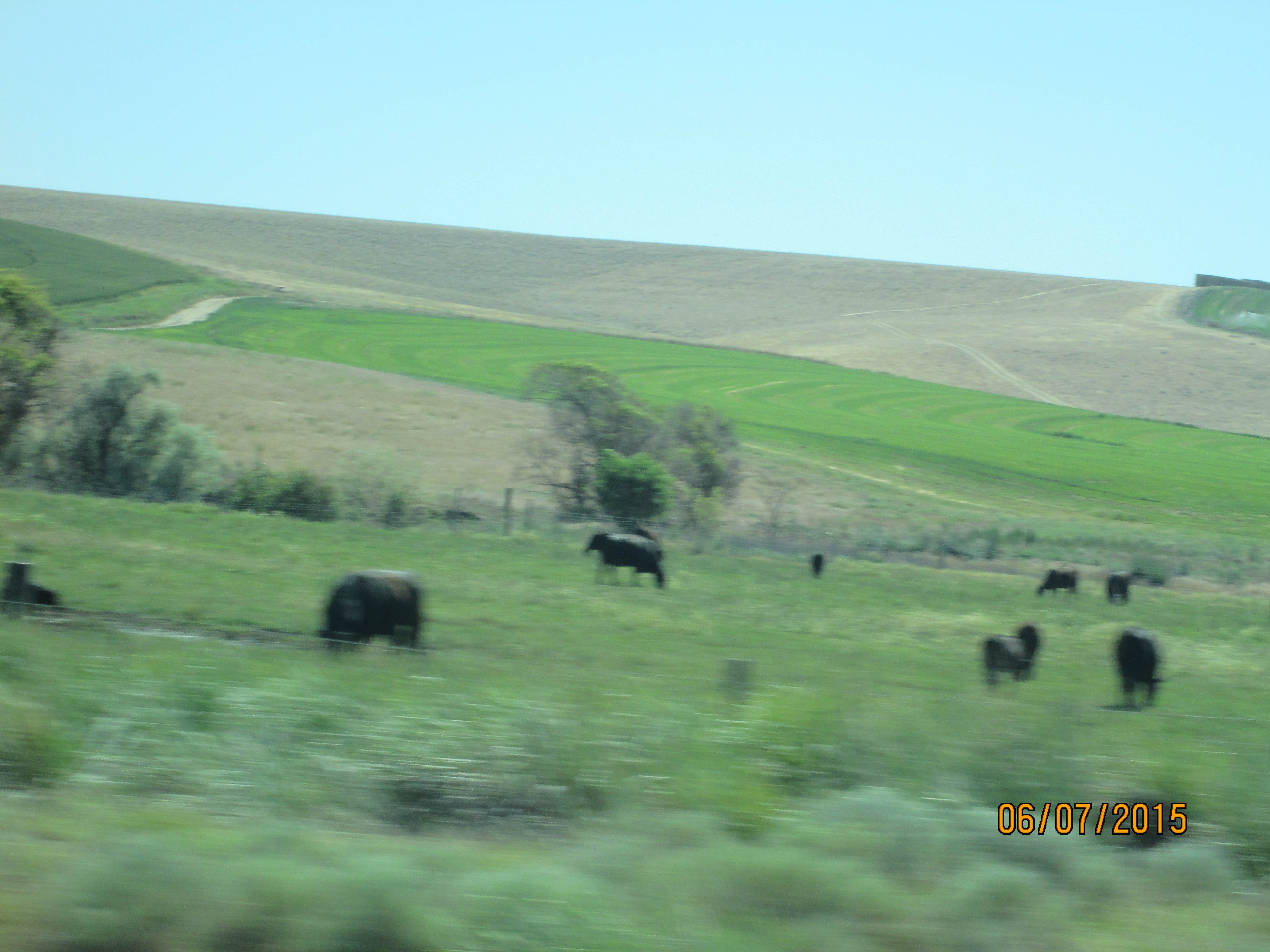 Camper-submitted photo at Umatilla National Forest Winom Creek Campground near Ukiah, OR