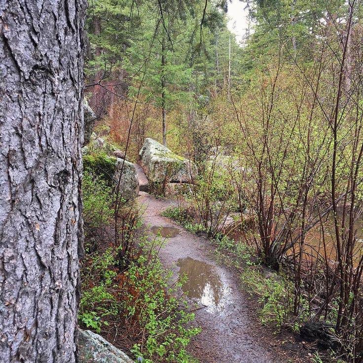 Camper submitted image from Squirrel Meadows Cabin - 5
