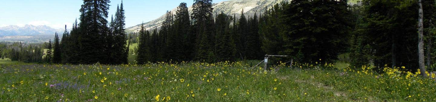 Camper submitted image from Cabin Creek - 4