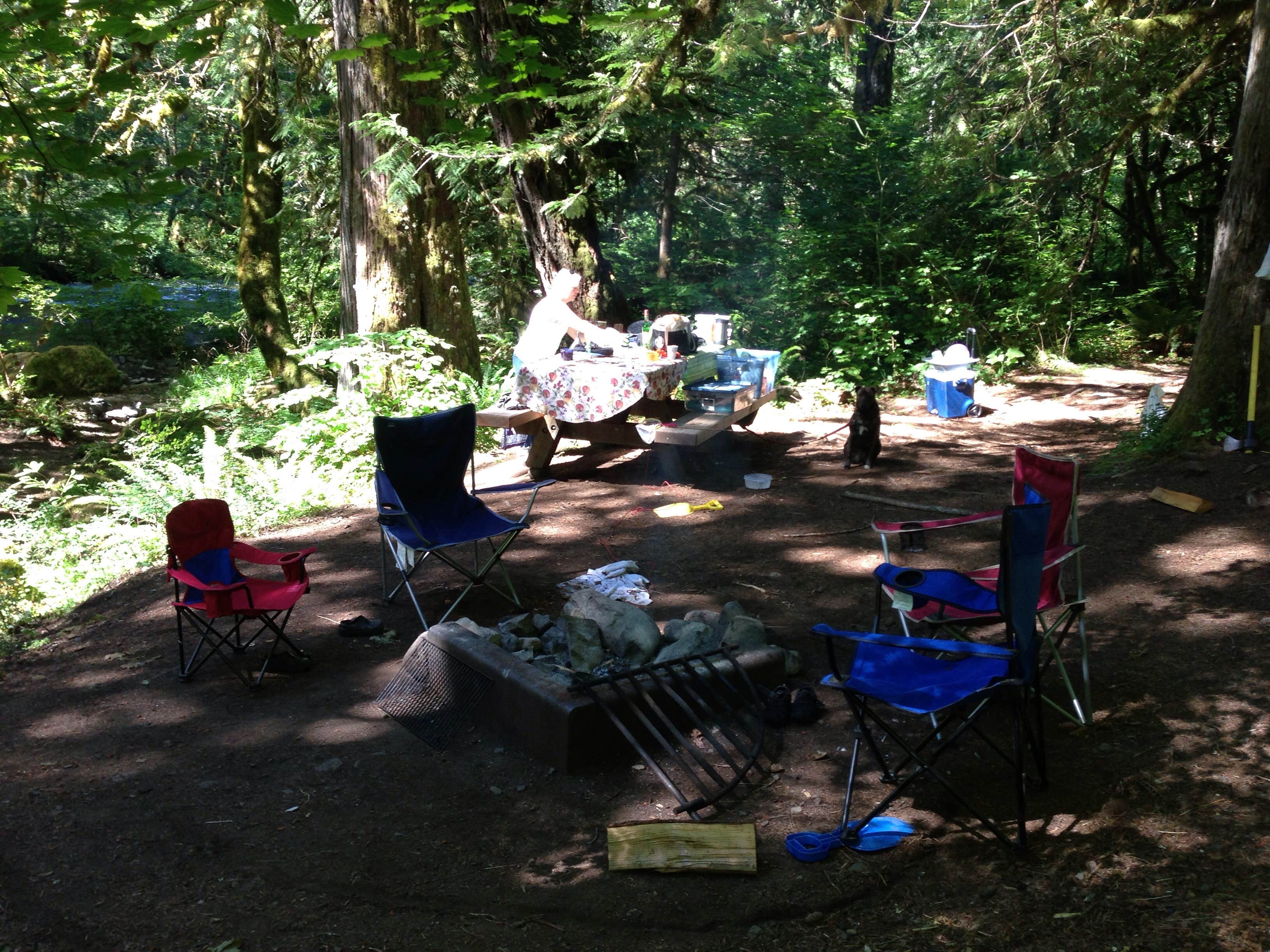 Camper submitted image from Ripplebrook Campground CLOSED INDEFINITELY DUE TO FIRE - 4