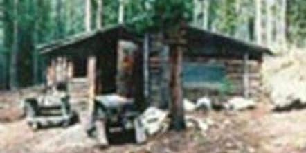 Camper submitted image from Doney Cabin