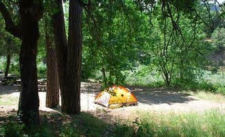 The Dyrt's photo at Curly Jack Campground near Seiad Valley, CA