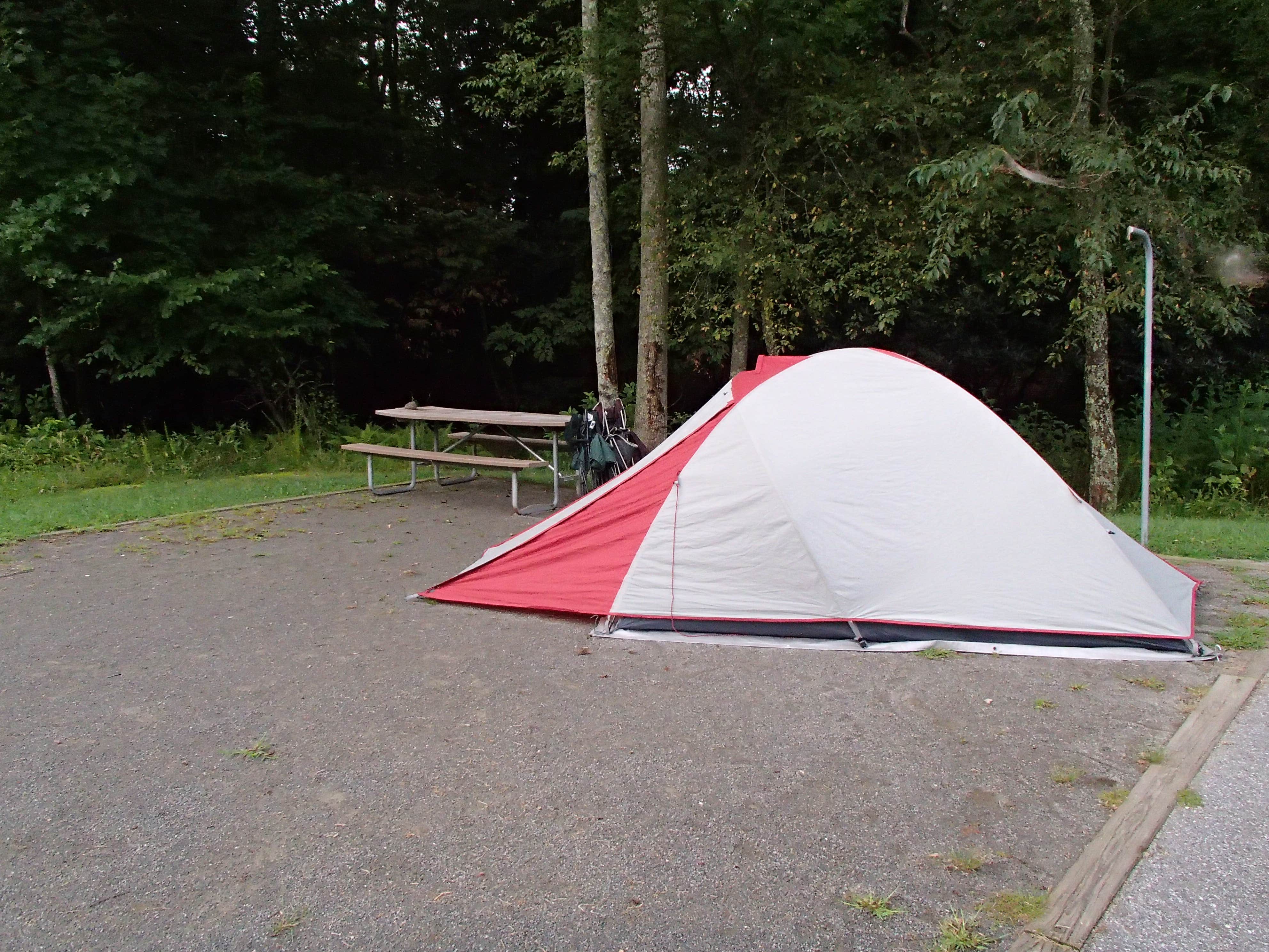 Camper submitted image from Stone Mountain State Park Campground - 4