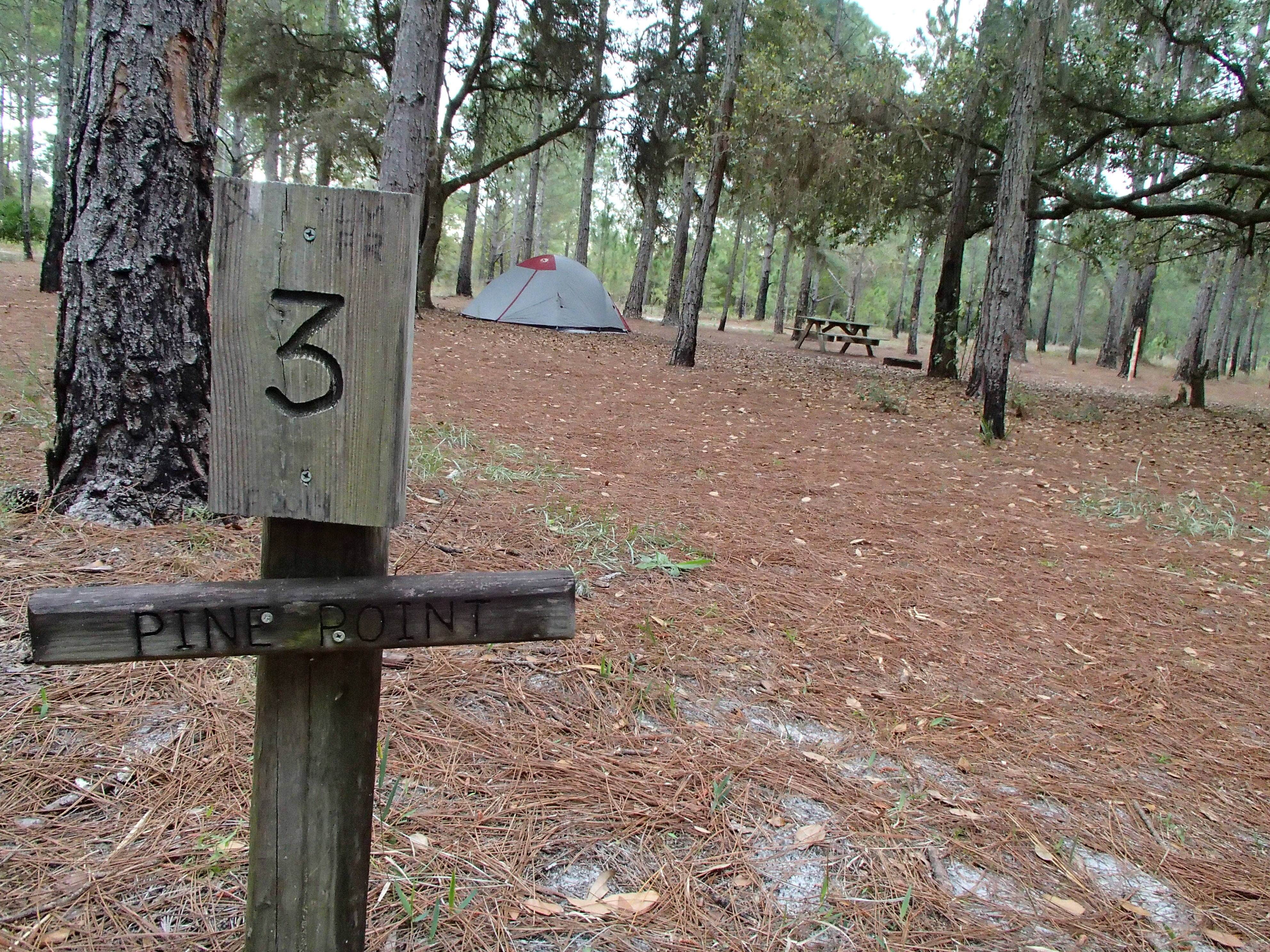 Camper submitted image from Lake Louisa State Park Campground - 4
