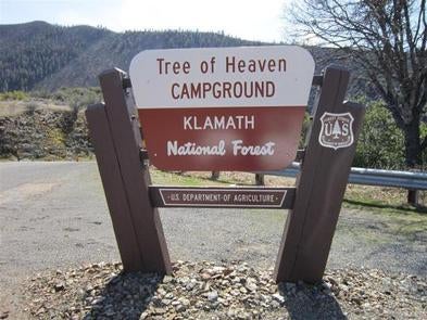 Camper submitted image from Tree Of Heaven Campground - 1