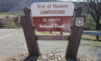 Camping near Eagle’s Nest Golf Course: Tree Of Heaven Campground, Yreka, California