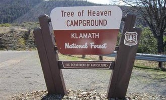 Camping near BLM Mallard Cove Campground: Tree Of Heaven Campground, Yreka, California