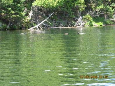 Camper submitted image from Sylvania Wilderness Backcountry Camping - 2