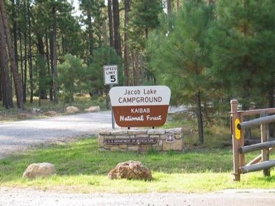 Camper submitted image from Jacob Lake Campground - Kaibab National Forest - 3