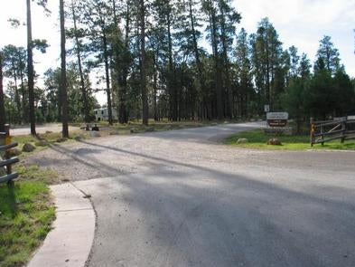 Camper submitted image from Jacob Lake Campground - Kaibab National Forest - 1