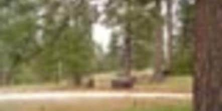 Camper submitted image from Lightning Point Group Campground