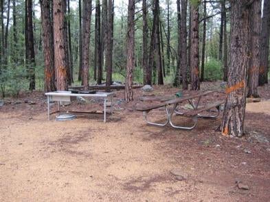 Camper submitted image from Apache Maid Cabin - 4